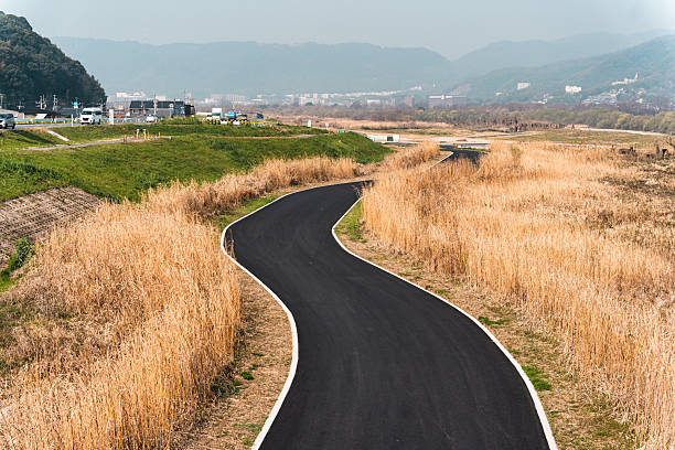 Freshly paved winding asphalt pathway through golden grassland in suburban