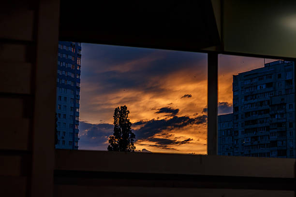 Sunset in Kharkiv. Cityscape. Orange Sky. View from Window. Tree Silhouette. Evening Clouds. Ukrainian City. Kharkiv Buildings. Atmospheric Sky.