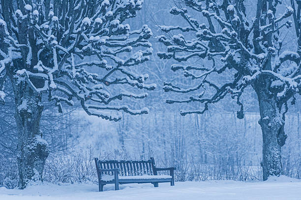 Wooden bench in the public park in snowed. Winter in outdoor.