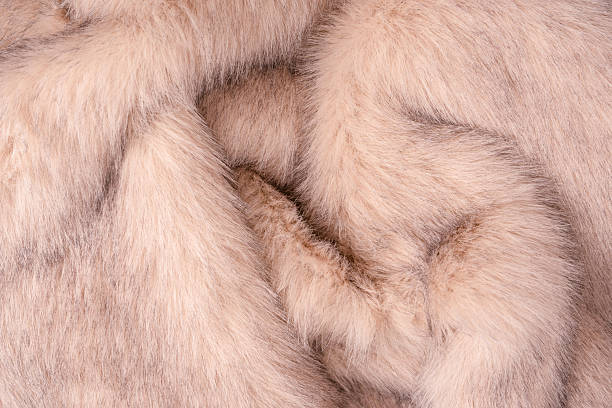 istock Texture of faux fur as a background, top view. 2221507907