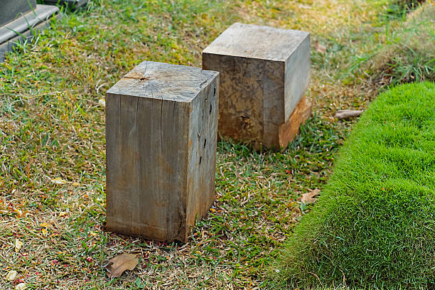 Two square wooden beams are placed on a grassy ground in an open area, featuring natural textures and a rustic outdoor atmosphere. Suitable for nature themes, traditional construction, or rustic design elements.