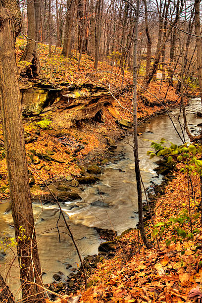 istock Autumn at David Fortier River Park, Olmstead Falls, Ohio 2221510458
