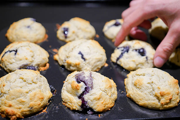 chocolate biscuit with blueberries on a white plate