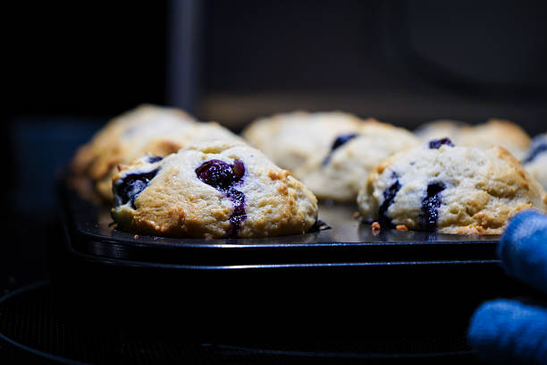 Freshly baked blueberry muffins in a muffin pan on an oven rack