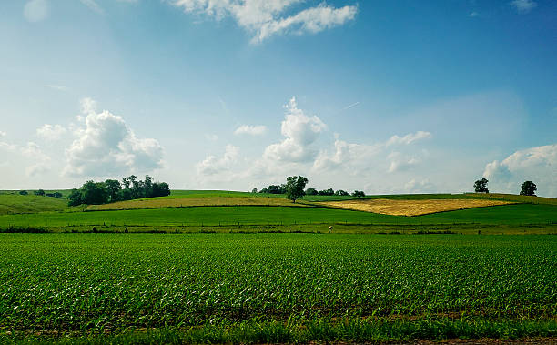 istock Rural Landscape in Late Spring, Holmes County, Ohio 2221515728