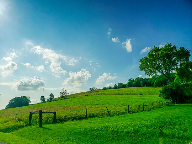 istock Rural Landscape in Late Spring, Holmes County, Ohio 2221515859