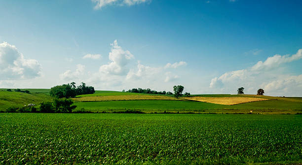 istock Rural Landscape in Late Spring, Holmes County, Ohio 2221516472