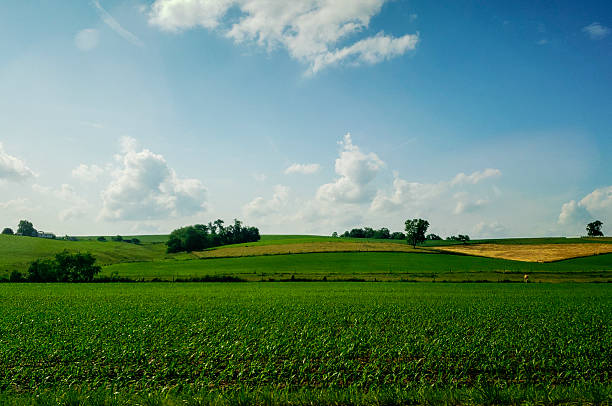 istock Rural Landscape in Late Spring, Holmes County, Ohio 2221516543