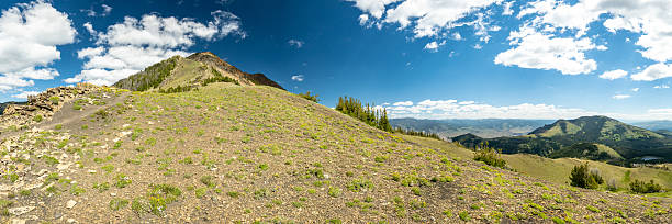 Heading Up Grassy Trail On Electric Peak In Yellowstone National Park