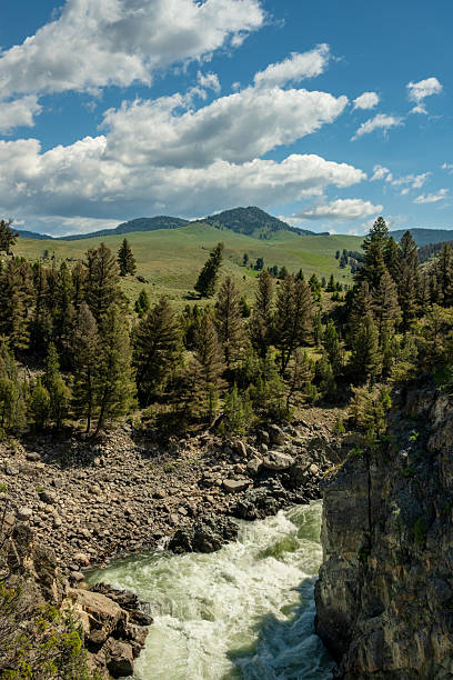 istock Hellroading Creek and Buffalo Plateau In Yellowstone 2221520393