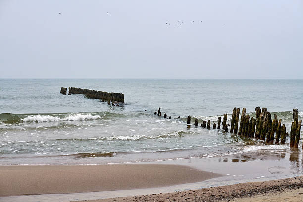 istock Weathered wooden breakwater in serene ocean view 2221522509
