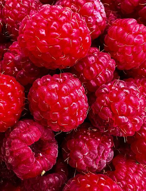 istock sweet raspberry. High quality photo 2221523623