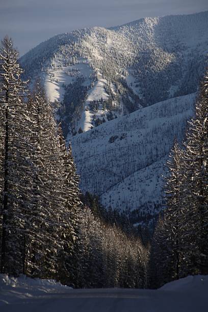 Fresh Snow on a Mountain Road in the Flathead National Forest, Montana