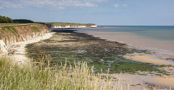 istock Sewerby  at low tide, showing the impressive chalk cliffs and sandy beach 2221530542