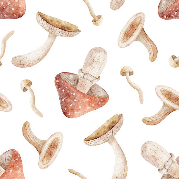 istock Pattern of watercolor mushrooms, fly agaric, toadstool. Illustration of autumn harvest is hand drawn. Seamless print on isolated background for design textiles, fabrics, wallpaper, packaging, clothes 2221531321