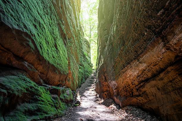 A narrow path through a moss-covered canyon with sunlight filtering through trees above in Eifel, Germany