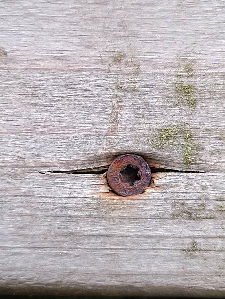 istock Rusty Screws in Old wooden Plank 2221537596