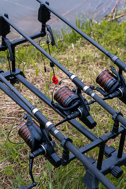 istock Fishing Rods with Bite Indicator by Water and Reeds 2221540196