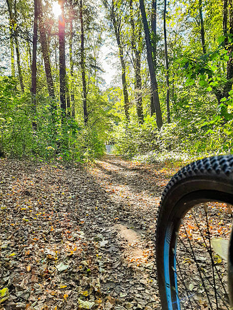 istock Bicycle wheel with yellow leaves and green trees 2221541525