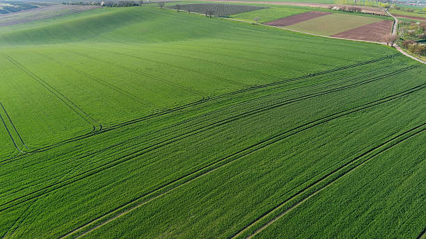 istock Green wavy hills with agricultural fields 2221543637
