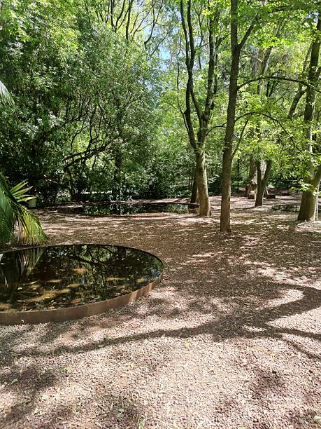 Reflective ponds in an urban forest