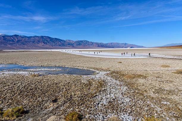 Death Valley National Park, California, USA - February 16, 2025:  Badwater Basin is the lowest point in North America at 282 feet below sea level. Periodic rainstorms flood the valley floor but soon evaporate because of the intense heat, leaving behind a pattern of crystals on the salt pan.  Average annual rainfall in Badwater Basin is 1.9 inches a year.  According to legend, Badwater gets its name from a mule that refused to drink the salty water.  These tourists are walking across the vast salt flat.