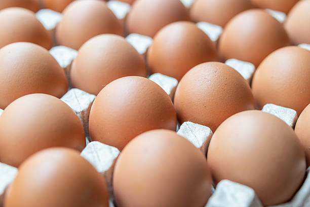 istock Fresh organic brown chicken eggs in cardboard tray 2221563491