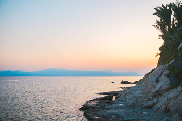 Rocky coastline with palm trees during sunset in Greece