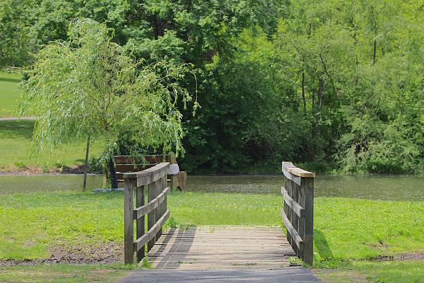 Scenic wooden bridge stretching over part of a local pond