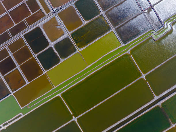 istock View of the salt field 2221567677