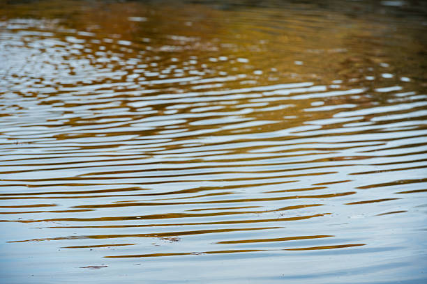 This is an abstract photograph of the rippled water on the surface of the Lake in Central Park in NYC.
