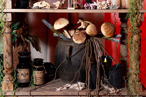 istock Witchcraft Shelf with Mushrooms and Potion Bottles. 2221568851