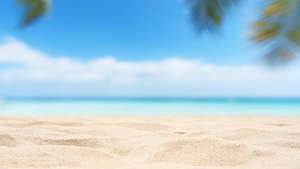 istock Empty tropical sand beach with palm leaves and sunny blue sky abstract background 2221580806
