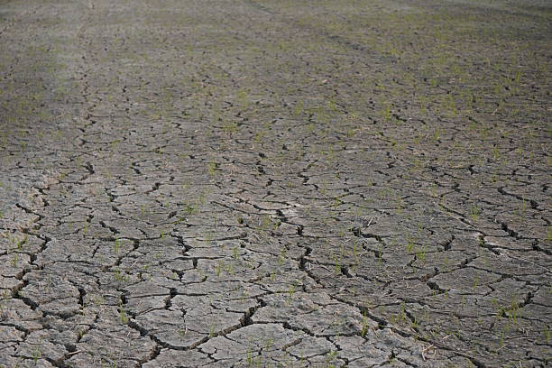 istock cracked soil occurrence in areas experiencing dry conditions or drought 2221581619
