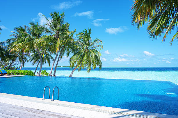 istock Infinity swimming pool with sea view on tropical island resort 2221583967