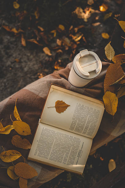 istock Open book and reusable coffee cup on a plaid blanket-covered bench in an autumn park, surrounded by fallen yellow leaves and warm afternoon light 2221584330