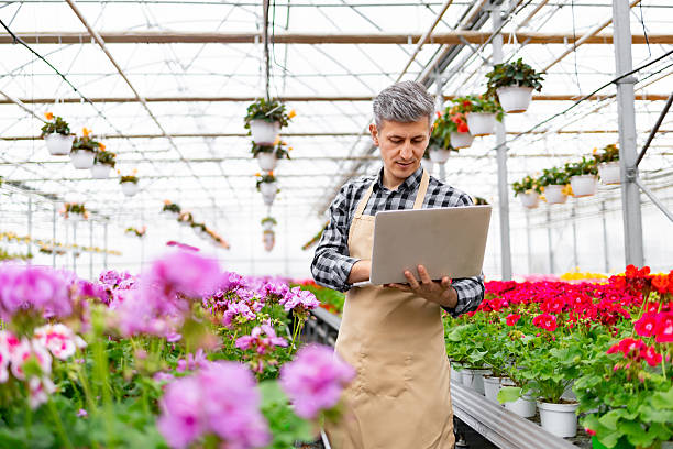 istock Florist Working in a Greenhouse 2221586444