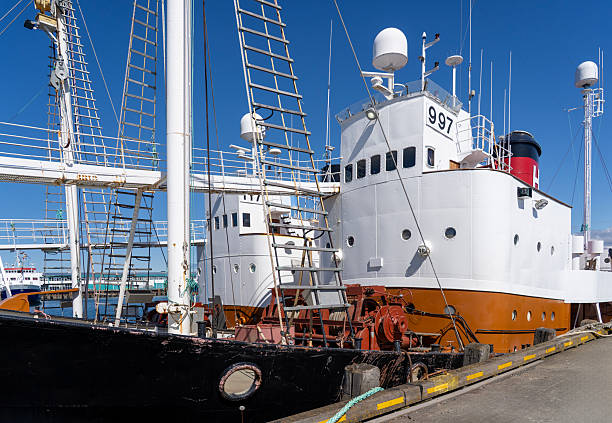 Reykjavík, Iceland. Whaling Whalers docked at the port