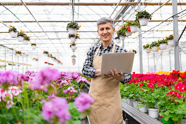 istock Florist Working in Greenhouse 2221595407