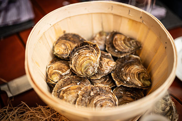 istock Fresh Mussels Served in a Rustic Wooden Bucket 2221595843