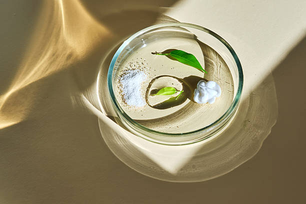 istock Various cosmetics in a petri dish on a beige background. 2221596368