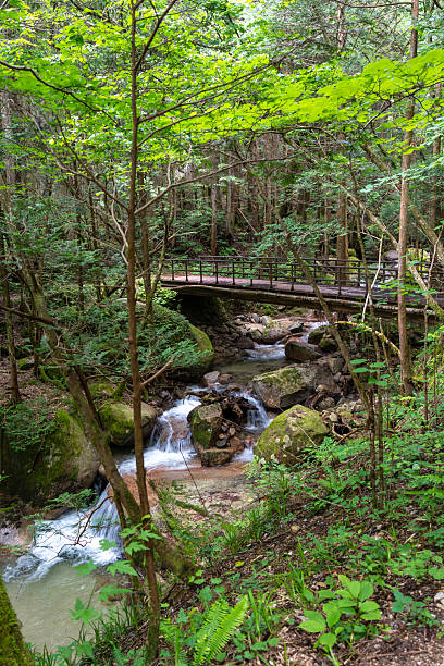 istock Bridge over the river on Nakasendo trail, Japan 2221601892