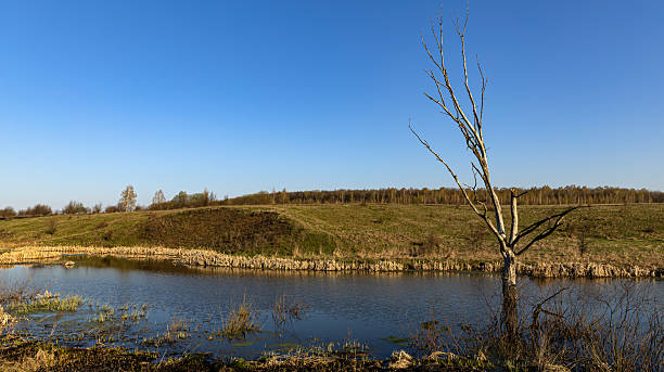 istock A Beautiful Spring Landscape Featuring Burnt Grass Alongside a Serene River in a Picturesque Setting 2221601921