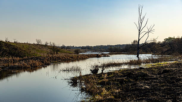 istock A Beautiful Spring Landscape Featuring Burnt Grass Alongside a Serene River in a Picturesque Setting 2221601965