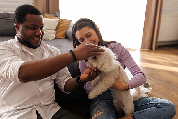 istock Relaxed young couple enjoying weekend at home 2221607159