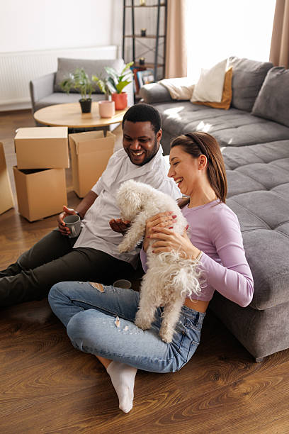 istock Happy couple taking a break during relocation 2221607560