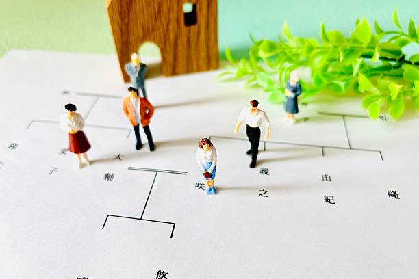 istock Family tree, family structure, and inheritance division images 2221609708