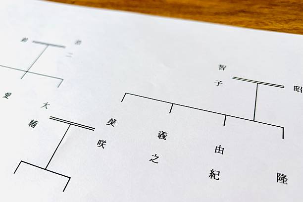 istock Family tree, family structure, and inheritance division images 2221609731