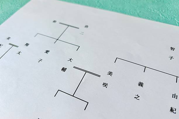 istock Family tree, family structure, and inheritance division images 2221609735