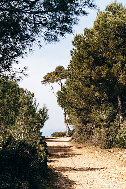 Beautiful view Mallorca